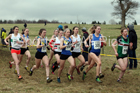 Senior women, 2018 Northern Cross Country Champs., Harewood House, Leeds. Photo: David T. Hewitson/Sports for All Pics